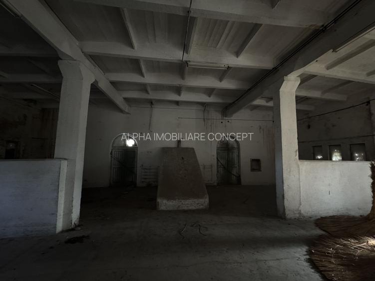 Eforie Sud Depozit Parter + Mezanin cu rampă Auto și CF - 11