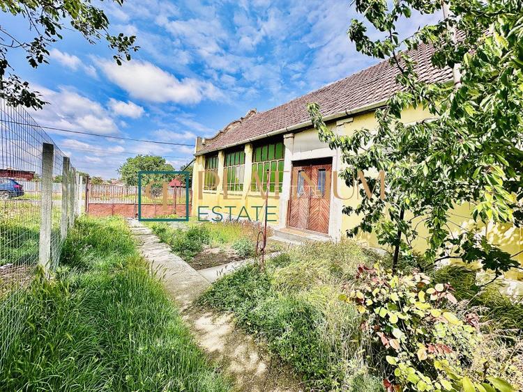 P4504 Casa cu 5 camere in Becicherecu Mic teren 961 mp ASFALT - 12