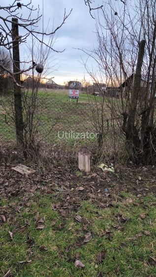 Teren Dinias/Peciu Nou 2 fronturi stradale - 3