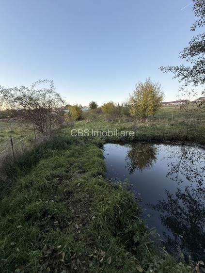 Teren extravilan de vanzare in Salicea 916mp+84mp drum necesita PUZ - 3