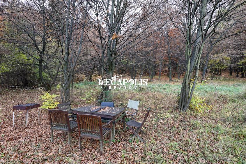 Ieșire direct in Pădure / Green Park Villas - 8