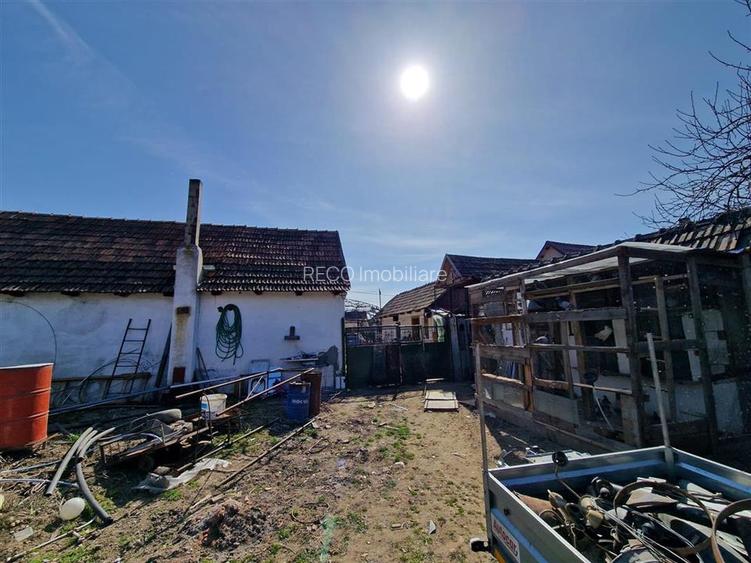 Teren mare cu 2 case in Sabolciu, com. Sacadat - 21