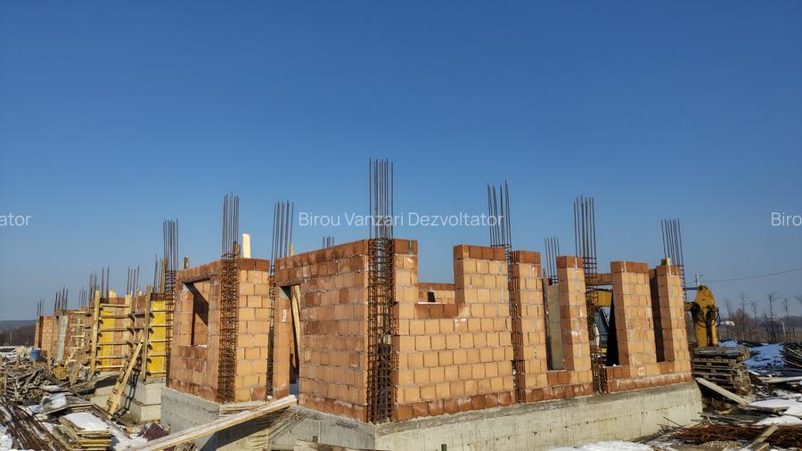 Vile individuale padurea Rosu  - 8