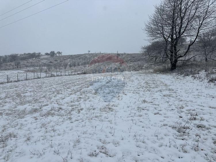 Teren 8,300mp Negresti (Dobreni) / Drumul DEALUL OTEL - 4