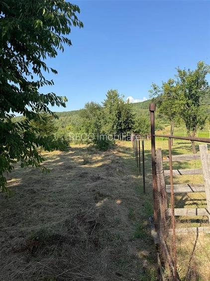 RECO . Casa in Saliste de Vascau . - 8