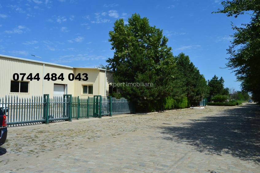 Show-room Hala Depozit sos. de Centura - 6