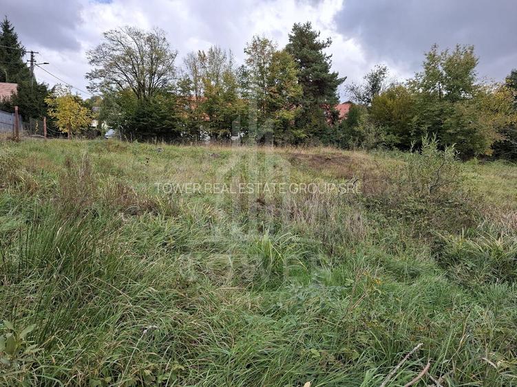 Teren intravilan cu Puz si priveliște deosebită, spre Cetatea Cisnădioara - 7