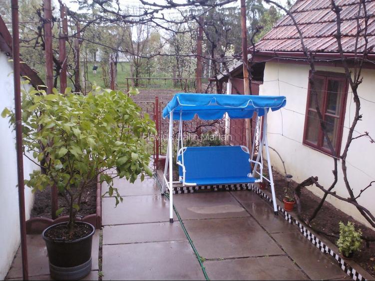 Vanzare casa - 146 mp locuibili / suprafata totala 560 mp - 6