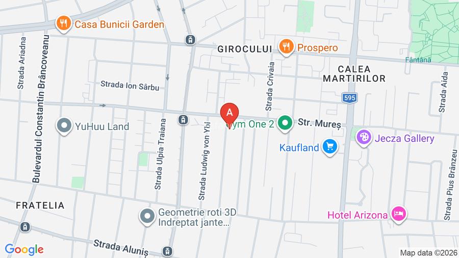 Apartament 1 camera la vila - 10