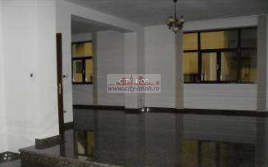 Inchiriere Vila Iancu Nicolae Gradinita, Clinica Medicala - 5