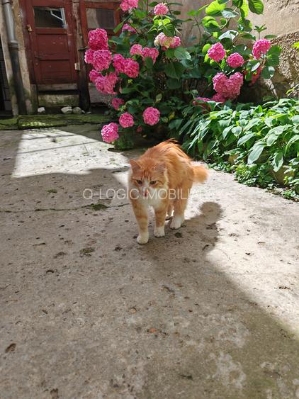 Apartament 4 camere renovat, 3 unitati regim hotelier zona Centrul Istoric - 26