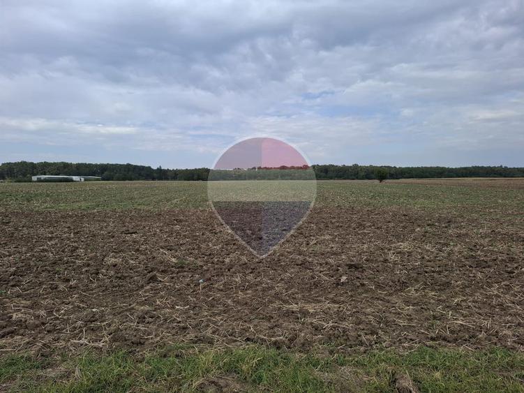 Investitie vanzare teren intravilan 26.666mp la DN3| Vizavi de Makita|