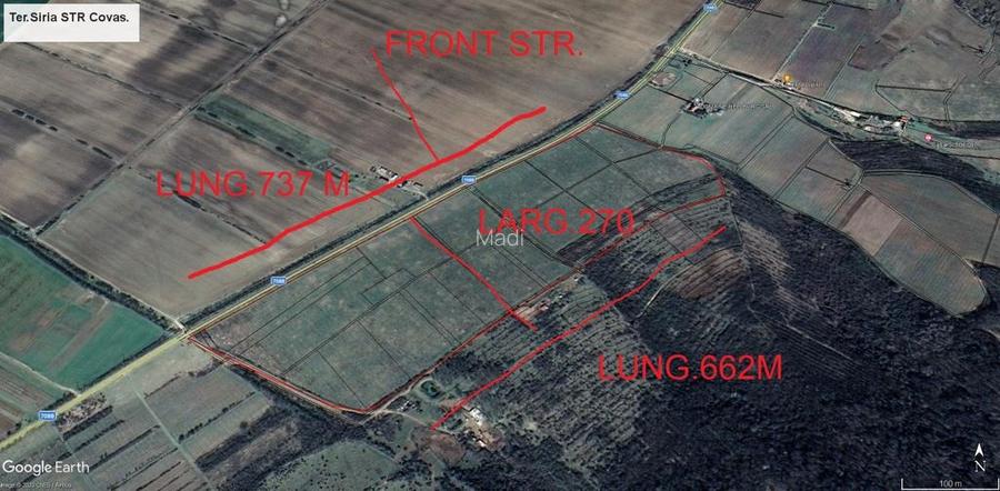 18,57 Hectare lot compact - Plantatie vita de vie pe rod, soi Pinot Noir - 2
