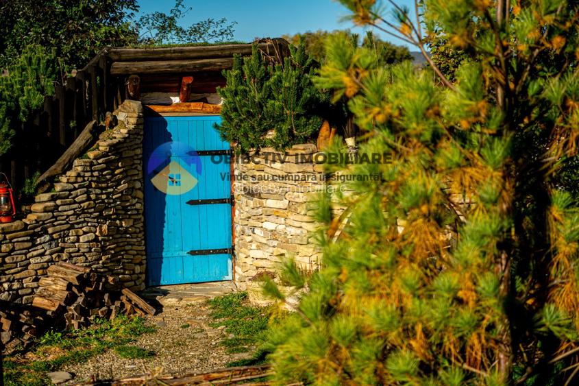  Oportunitate de Investitie! Afacere la Cheie in Turism – Disponibila Acum! - 10