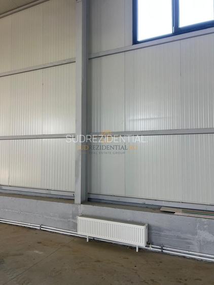Hală industrială de vânzare – Localizare strategică DNCB | Măgurele - 3