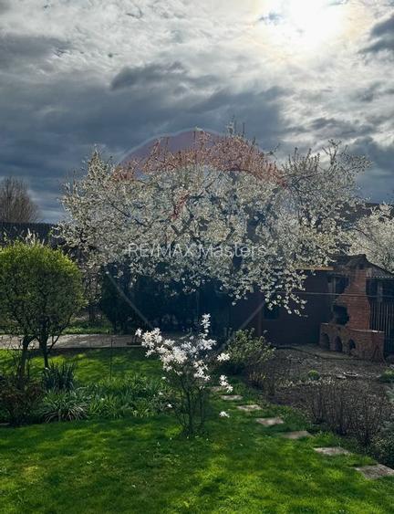 Casă / Vilă cu 8 camere de vânzare în zona Central - 7