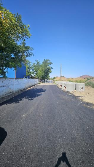 Teren intravilan 4000m2 - Cazasu, Braila - 8