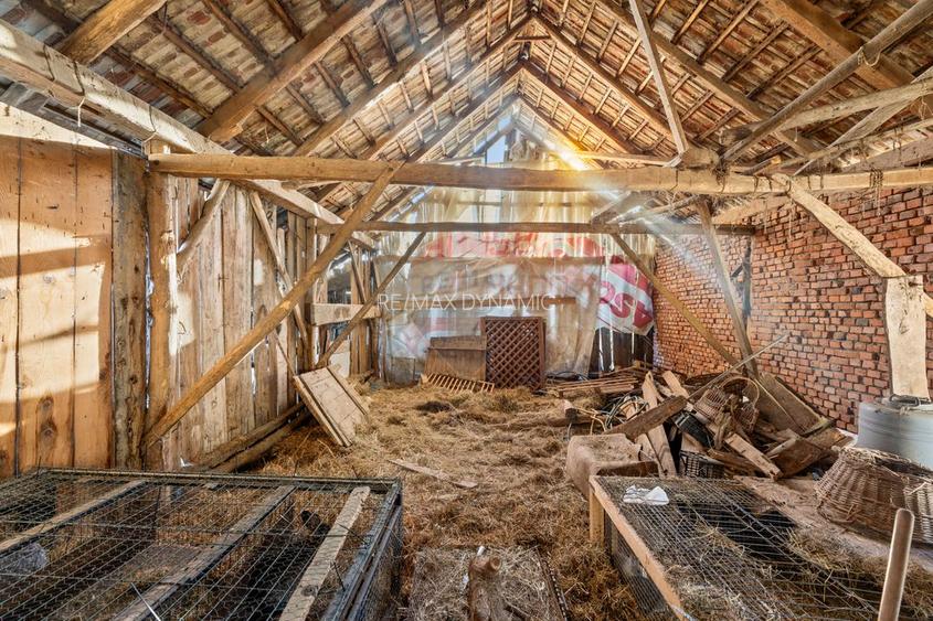 Gospodarie autentică bănățeană, cu teren generos și livadă – Frumușeni - 13