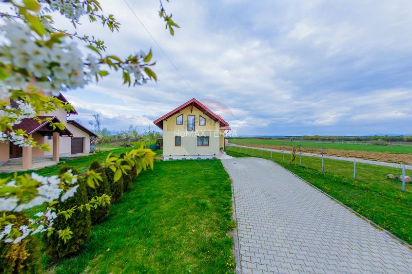 CASA DE VIS DE VANZARE IN COLTIREA cu 2900 mp teren - 44