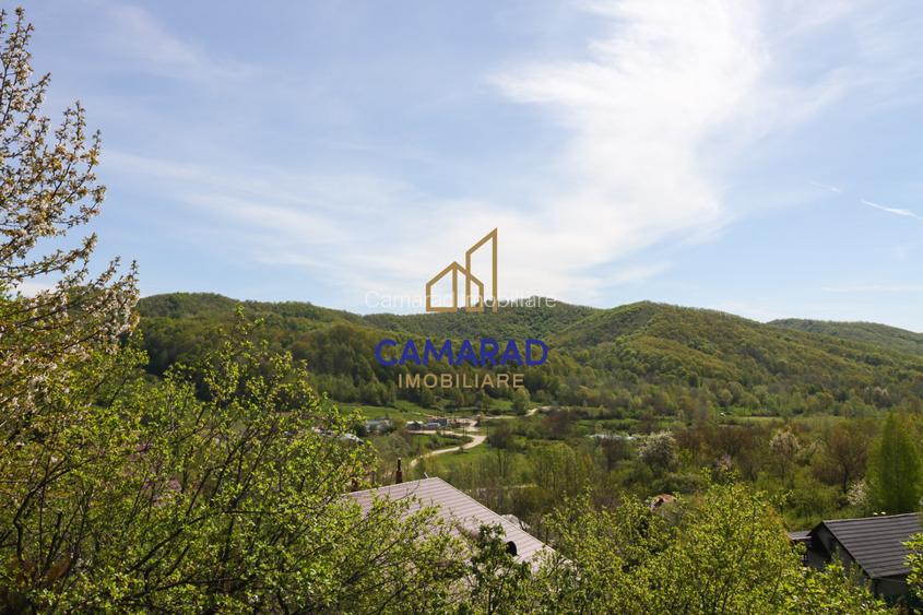 Vila vedere panoramica de vânzare - investitie - Provita de Jos, Prahova - 17
