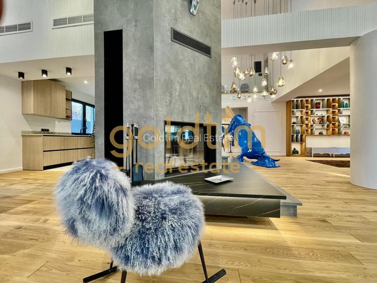 UNICA/ABSOLUT SUPERBA/ VILA INDIVIDUALA/IANCU NICOLAE/CURTE GENEROASA - 22