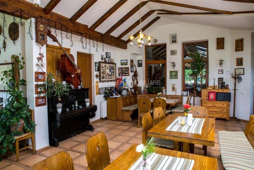 Hotel Bielmann,unicitate si profitabilitate optima in turism,Sanpetru, Brasov - 57