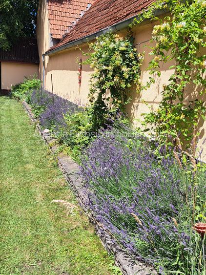 Casa individuala pe un singur nivel in Sibiu localitatea Cartisoara - 13