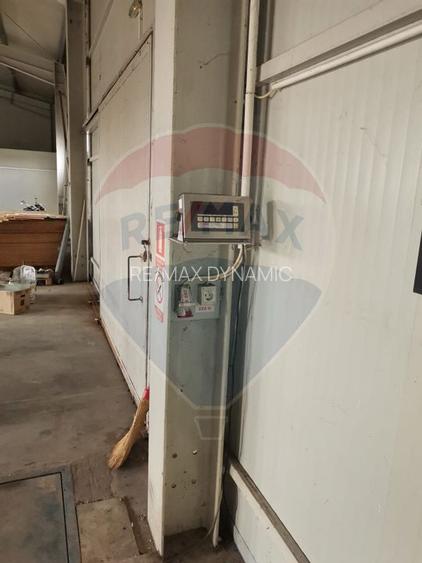 Hală cu acces TIR si teren de închiriat Arad. De la 600 euro/150 mp - 5