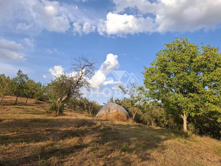 Teren spectaculos cu padure, livada si priveliste panoramica in Soimari PH - 2