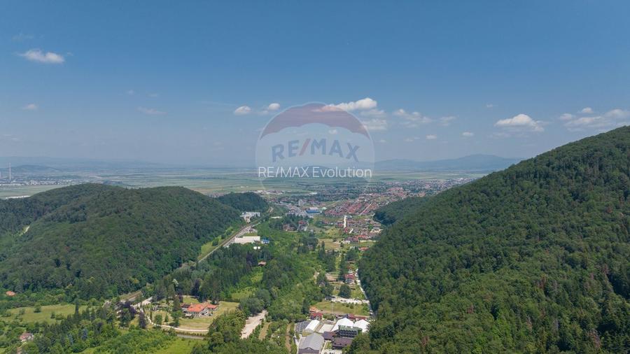 Teren intravilan, 3000 mp, Dâmbu Morii - 11