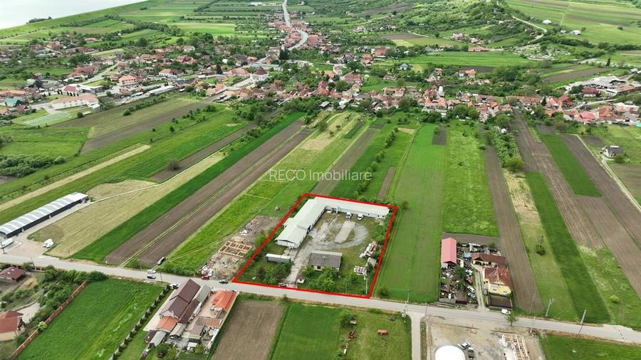 RECO Hala frigorifica Lugasu de Jos Bihor - 3