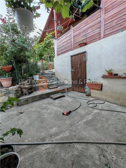 EXCLUSIVITATE! Casa+teren si cabana de lemn zona Naeni - 16