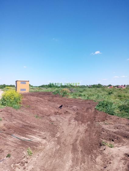 VANZARE HALA INDUSTRIALA - FRUMUSANI - 14