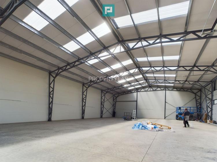 Hală nouă în zona industrială Giarmata - 6