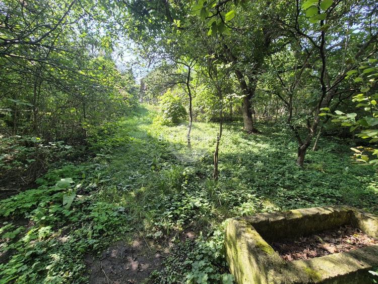 Casa Veche + Sura + Anexe | 70 mp utili | 3600 mp teren | Deusu - Chinteni ! - 3