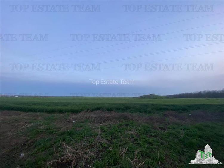 Teren intravilan 15000 mp Costinesti, Constanta - 4