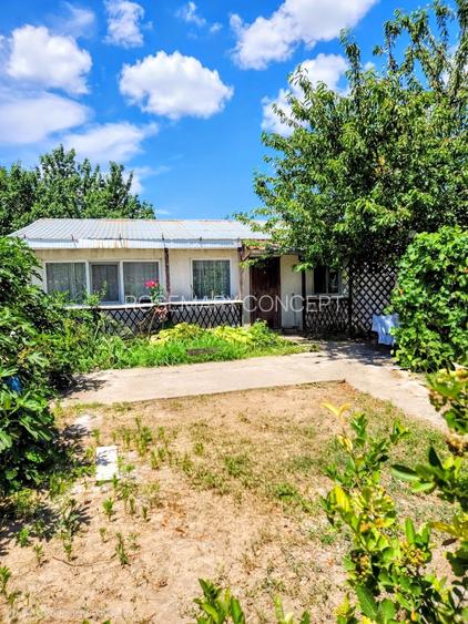 Casa Modernă + Casă de Oaspeți în Chișcani/ teren 1314 mp/panouri fotovoltaice - 4