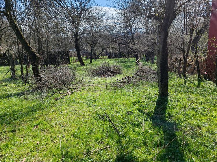 Casa 3 camere libera la vanzare TARLUNGENI - 28