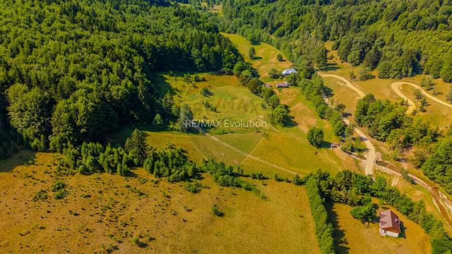 Teren 20000 mp, sat Dalghiu, com Vama Buzaului - 12