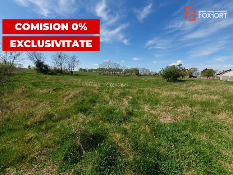 Comision 0% Teren intravilan 3000 mp in Padureni Jebel - 5