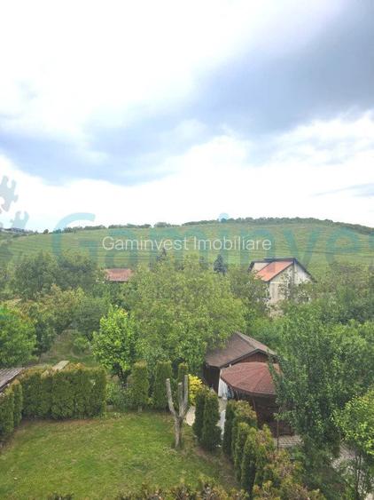 Casa de inchiriat cu 5 dormitoare in zona Gheorghe Doja - 14