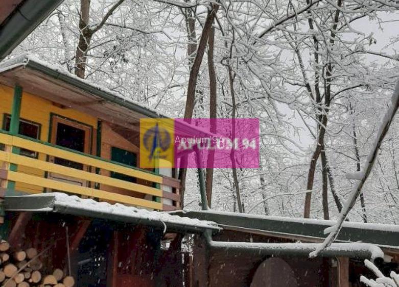 Casă de vânzare în Provița de Jos - 50