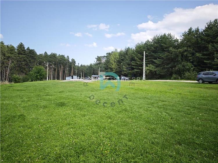 Teren Poiana Angelescu, Sacele, Brasov - 10