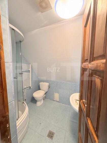 Casa individuala, 6 camere, 196 mp, zona Parc 14 Iulie-Grigorescu - 14