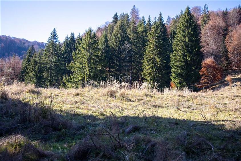 Teren de Vis langa Siriu  – 20000 mp ideal pentru Complex turistic Comision 0% - 14