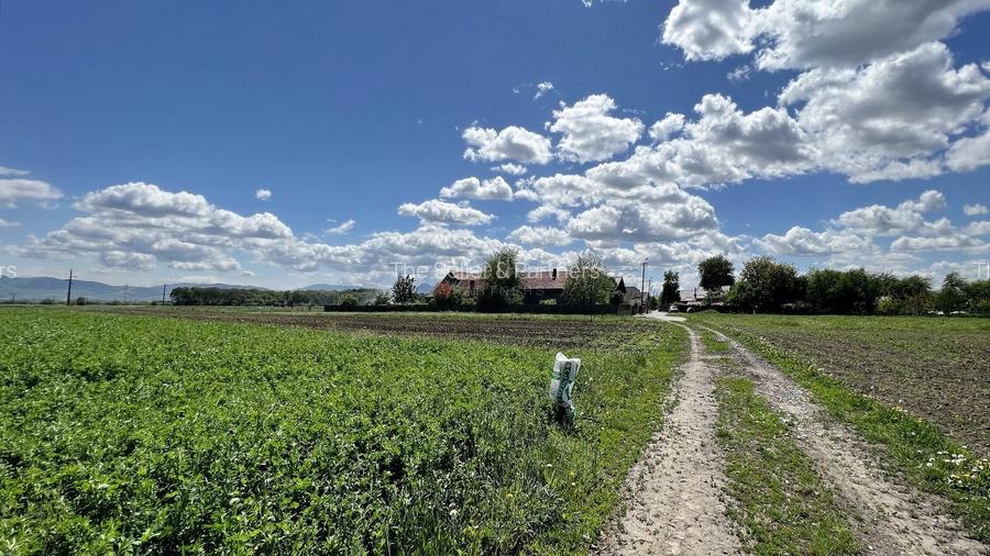 Teren intravilan Zona Metropolitana Brasov - 4