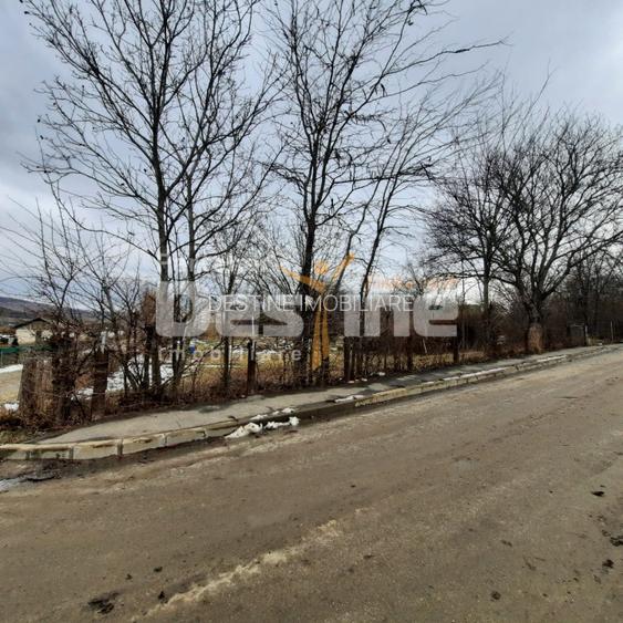 Oportunitate de investitie, teren intravilan Husi, 10435 mp - 3