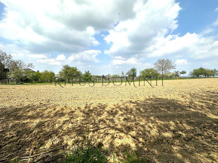 Teren Intravilan de Vânzare, Cetariu, 5450mp - 4