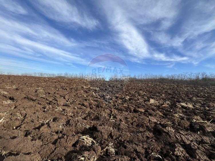 Teren intravilan Bădeni, central - 6