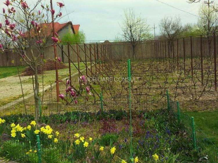 Ciopani vila 5 camere teren 4000 mp - 6